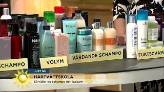 Så väljer du rätt schampo - Nyhetsmorgon (TV4)