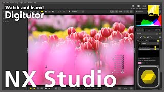 NX Studio #3 Image Adjustment Using Color Control Points | Nikon Digitutor
