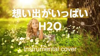 想い出がいっぱい  ///  H2O ( Instrumental )