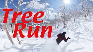 Tree Run 新コース 奥中山高原スキー場  Okunakayama kogen / ツリーラン