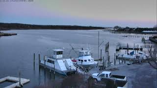 Southampton Marine Science Center Webcam  March 11, 2022