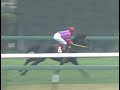 ナリタトップロード 1999年 第36回報知杯弥生賞 gii 優勝馬：ナリタトップロード