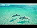 playlist 신나는 바다여행 🐬 기분 좋아지는 여름 플레이리스트 🌊 밝은 피아노 음악 summer piano feel good music healing