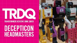 TRDQ: 1987 Decepticon Headmasters Review