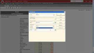 MicroStrategy Reporting Suite tutorial - Custom Groups