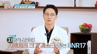 몸속에 쌓인 백색 지방 세포를 줄이는 ✨BNR17✨😊 | TV정보쇼 알짜왕 373회 | JTBC 240613 방송