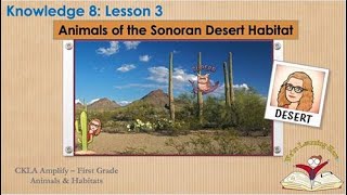 Knowledge 8 Lesson 3 Animals of the Sonoran Desert