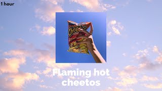 Flaming hot Cheetos I Clairo I 1HOUR