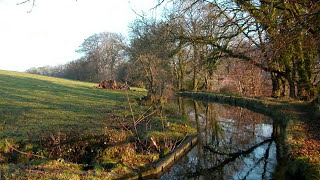 Tavistock Canal 2005.