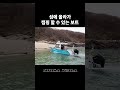 국산 알루미늄 수륙양용보트도 이게 된다고