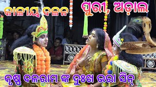 Kaliya dalana ll Puri Adal ll Odia Krusna lila ll New Odia video