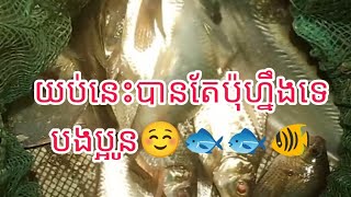 បង់សំណាញ់នៅទន្លេ: ទឹកឡើងខ្លាំងខ្ញុំមកបង់៣ម៉ោង☺️🐠ពេលយប់