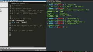 Bash Programming 5 How Bash Scripts Work