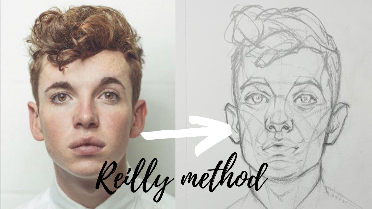 Structure Of The Head Using The Reilly Method - YouTube