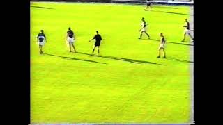 Sars V Erins Own - Senior Hurling Championship 2003