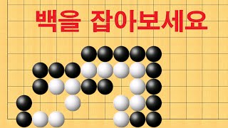 바둑 묘수 - 고수가 되기 위해 꼭 알아야 하는 사활. 백을 잡아보세요