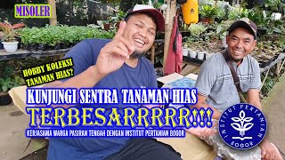 Kunjungan ke Sentra Tanaman Hias TERBESAR di Bogor