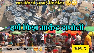 Harnai Fish Market/मोठे मासे लिलाव - हर्णे बंदर/harne fish auction/@SachinJoshiVlogs