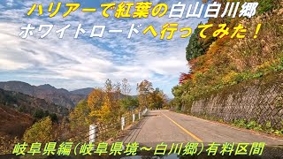 【番外編】紅葉の白山白川郷ホワイトロード（岐阜県側有料区間）　★有料道路