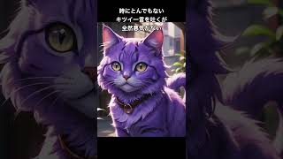 宿曜占い 猫占い觜宿は無邪気すぎるインテリ猫 #shorts