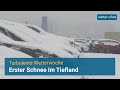 Erster Wintergruß im Tiefland