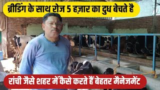 बिना पशु खरीदें ही शुरु किए इतनी बड़ी डेयरी/dairy farming India/dairy farm Ranchi/best feed for cow