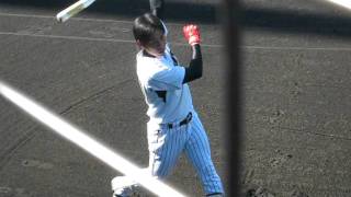 2011年9月23日　阪神　田中慎太朗　素振り