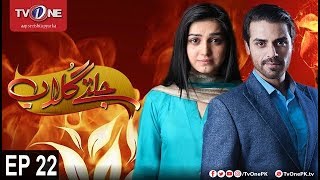 Jaltay Gulab | Episode 22 | TV One Drama | 1st December 2017