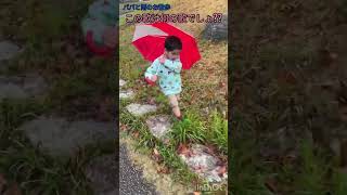 雨のお散歩#4兄妹#三男#3歳#雨#お散歩#パパ#仲良し#大好き#傘#長靴#自由#不思議#歌#謎#楽しい#shorts