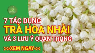 Tác dụng và lưu ý trước khi sử dụng trà hoa nhài