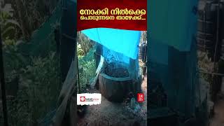 വീട്ടുമുറ്റത്തെ കിണർ ഇടിഞ്ഞു വീണു; സംഭവം കോഴിക്കോട്