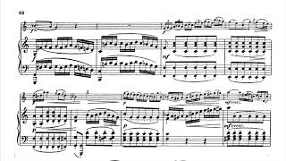 Haydn - Violin Concerto No. 2 in G major,  2nd Mov. (piano accompaniment)