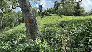 【日本百名山】 皇海山 クラシックルート 下り （栃木県） 標高2144m