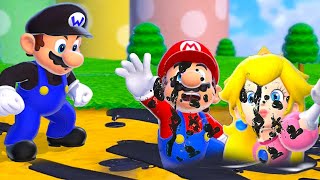 Super Mario 3D World + Bowser's Fury - The Ultimate Dark Mario Race (HD)
