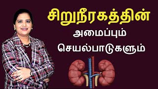 Kidney- Structure and Functions | Tamil