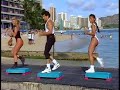 gilad step aerobics