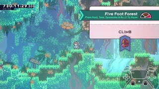 Celeste 2024 Secret Santa Collab - Five Foot Forest (Full Clear + True Ending)