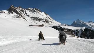 Hotel Alpina - Schlitteln in Grindelwald