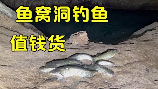 鱼窝洞钓鱼赚翻了，全是60一斤值钱货【壮乡小莫】