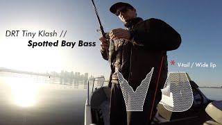 DRT Tiny Klash // Spotted Bay Bass