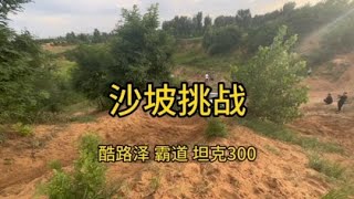 沙坡挑战依次出场的是：酷路泽/霸道/坦克300；#现场实拍~越野汽车哪家强【爱越野的鹏鹏】