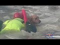 Dog rescued from frozen lake