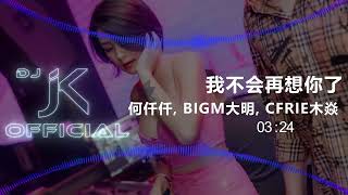 【粤语歌】何仟仟 _ BigM大明 _ CFrie木焱 - 我不会再想你了 新版幻境 DjJK Remix⚡ 热门DJ音乐 | DJ舞曲 | 慢摇