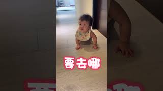 備戰爬行比賽特訓 #台灣 #babyshorts #baby 房#運動 #8m