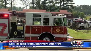 Apartment Fire on Winchester Road