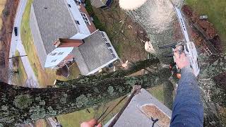 When splitting a large limb is not a problem