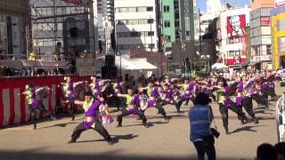 祭・WAIWAI よこはま＠2013　東京よさこい