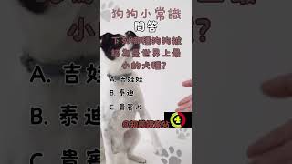 「狗狗小常識問答」狗狗的嗅覺有多靈敏？下列哪種狗狗被認為是世界上最小的犬種？狗狗搖尾巴通常表示什麼？狗狗一般能夠理解多少個人類詞彙？