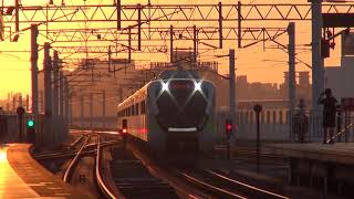 Taiwan Railway 2021.11.21 EMU900 Bathing In Golden Evening Sunlight at Tai-Chung【Local Exp. No.2036】