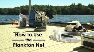 Using a plankton net to collect cyanobacteria samples | cyanoScope